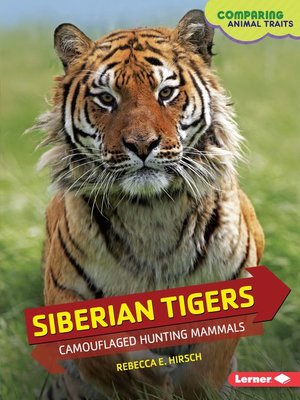 Siberian Tigers - ebook